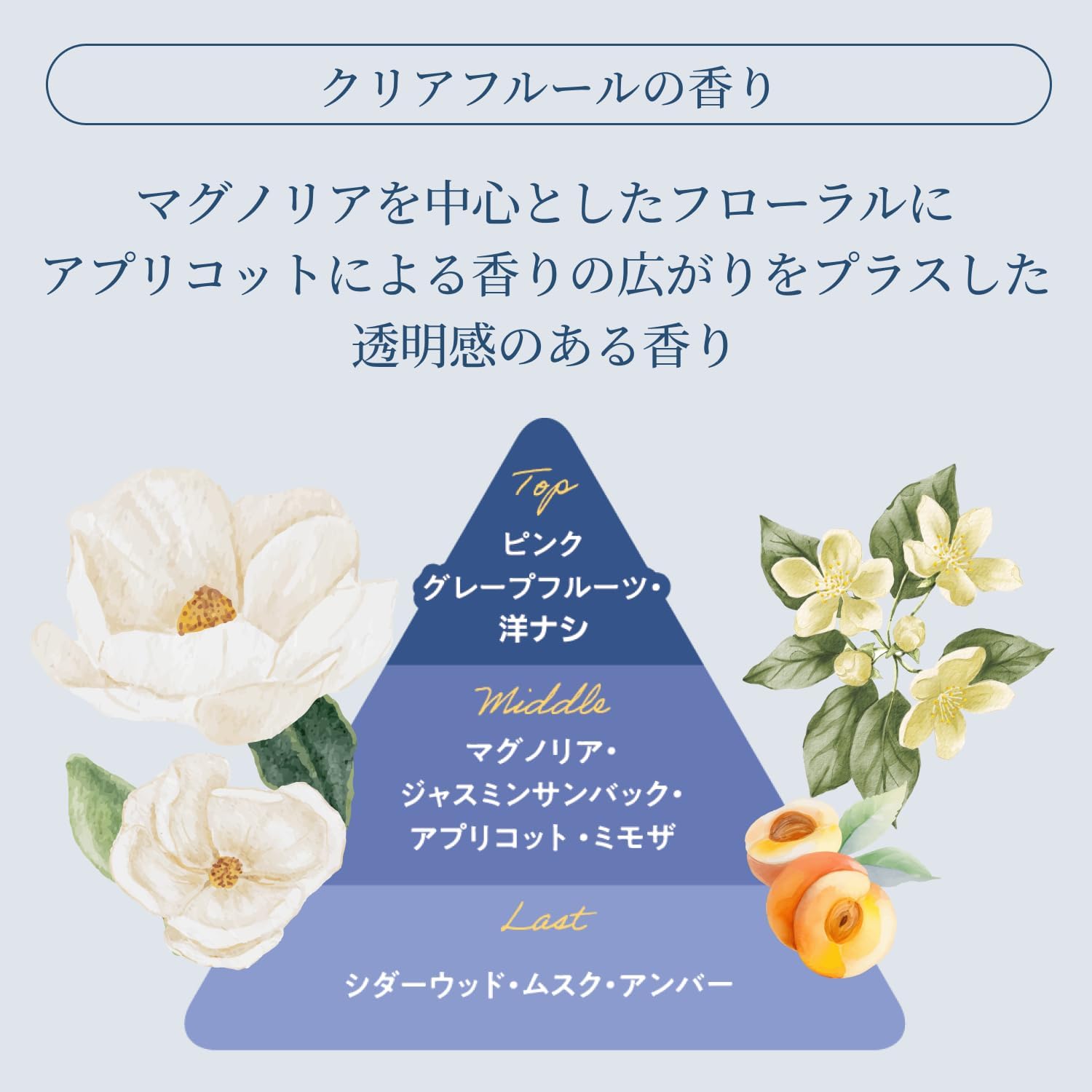 Detalle 2 de タイムユー キープモイスト シャンプー詰め替え用 300ml アミノ酸系洗浄成分・クリアフルールの香り