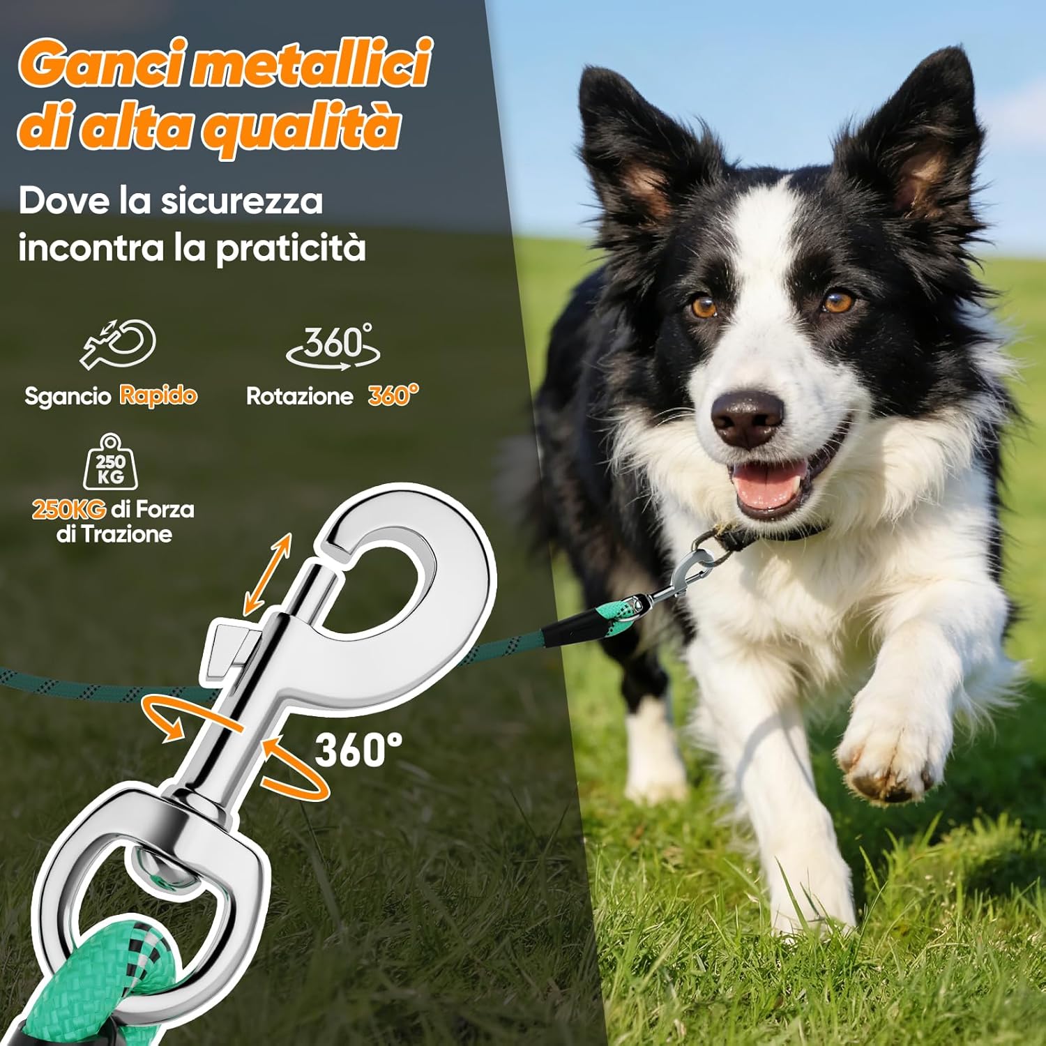 Detalle 2 de Aystkniet Guinzaglio da addestramento per cani con 2 ganci girevoli e filo riflettente, lunghezze 5–30 m