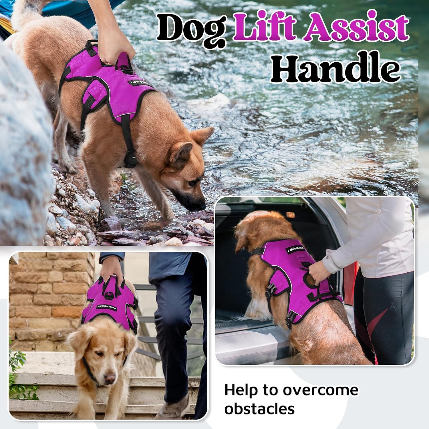 Detalle 2 de rabbitgoo Escape-Proof Dog Harness (Large, Purple) with Lift Handle and Reflective Trim