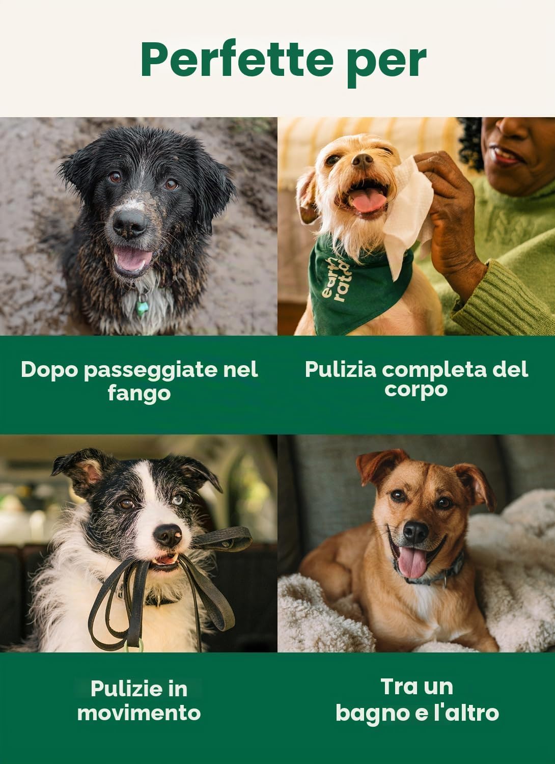 Thumbnail 6 de Earth Rated Salviette ipoallergeniche per Cani – 400 pezzi, senza profumo, per zampe, corpo e sedere