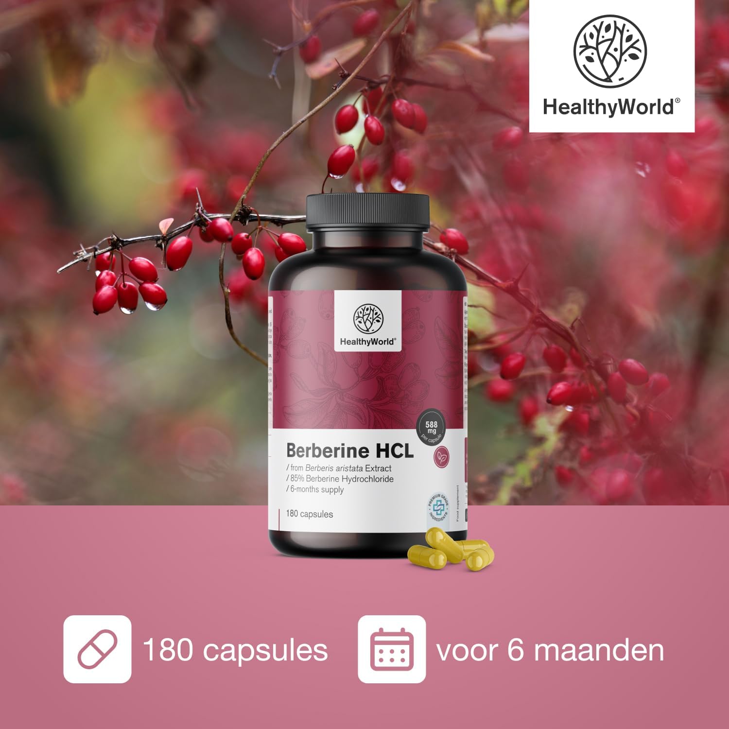 Detalle 2 de HealthyWorld Berberine HCL 500 mg plantaardige capsules, 180 stuks