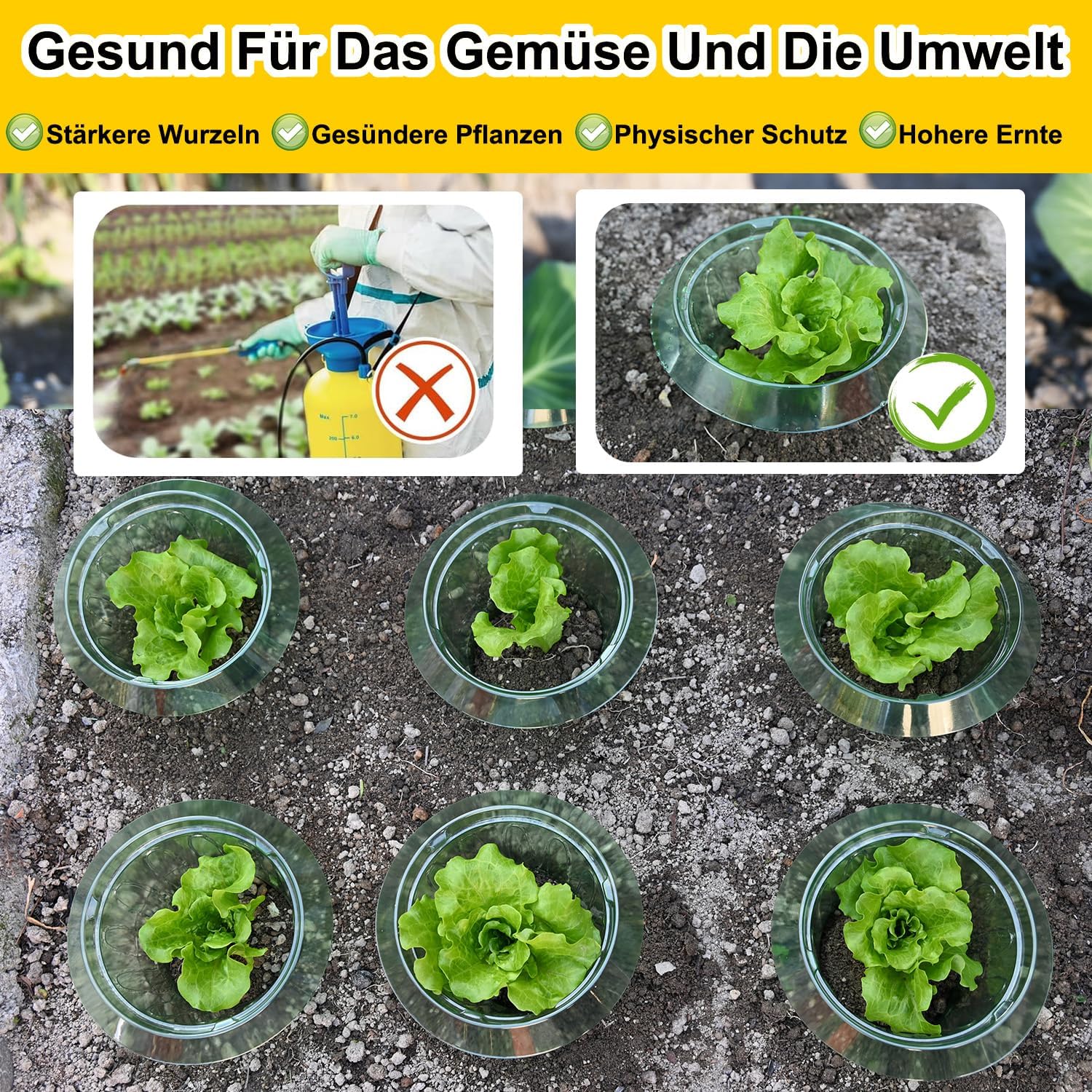 Thumbnail 5 de Emyimom Pflanzenhut (Pflanzhütchen) für Salatpflanzen – Schutz vor Vögeln, Schnecken und Wetter, 10er-Set
