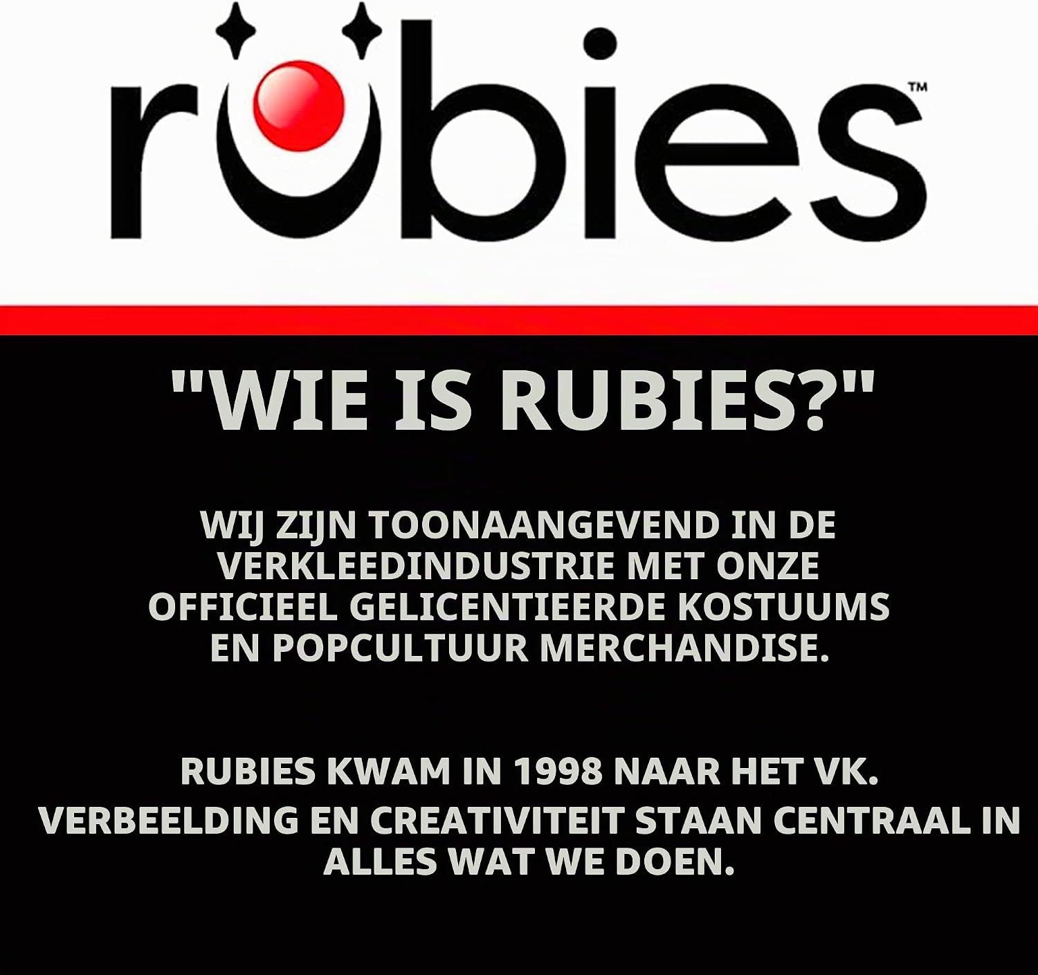 Detalle 2 de Rubie's 526NS000 Wizard of Oz-vogelverschrikkeraccessoire met nek-, pols- en beenbanden
