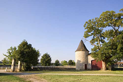 Thumbnail 4 de MAGNUM Château Tour Prignac 1,5 L vino tinto 🍷