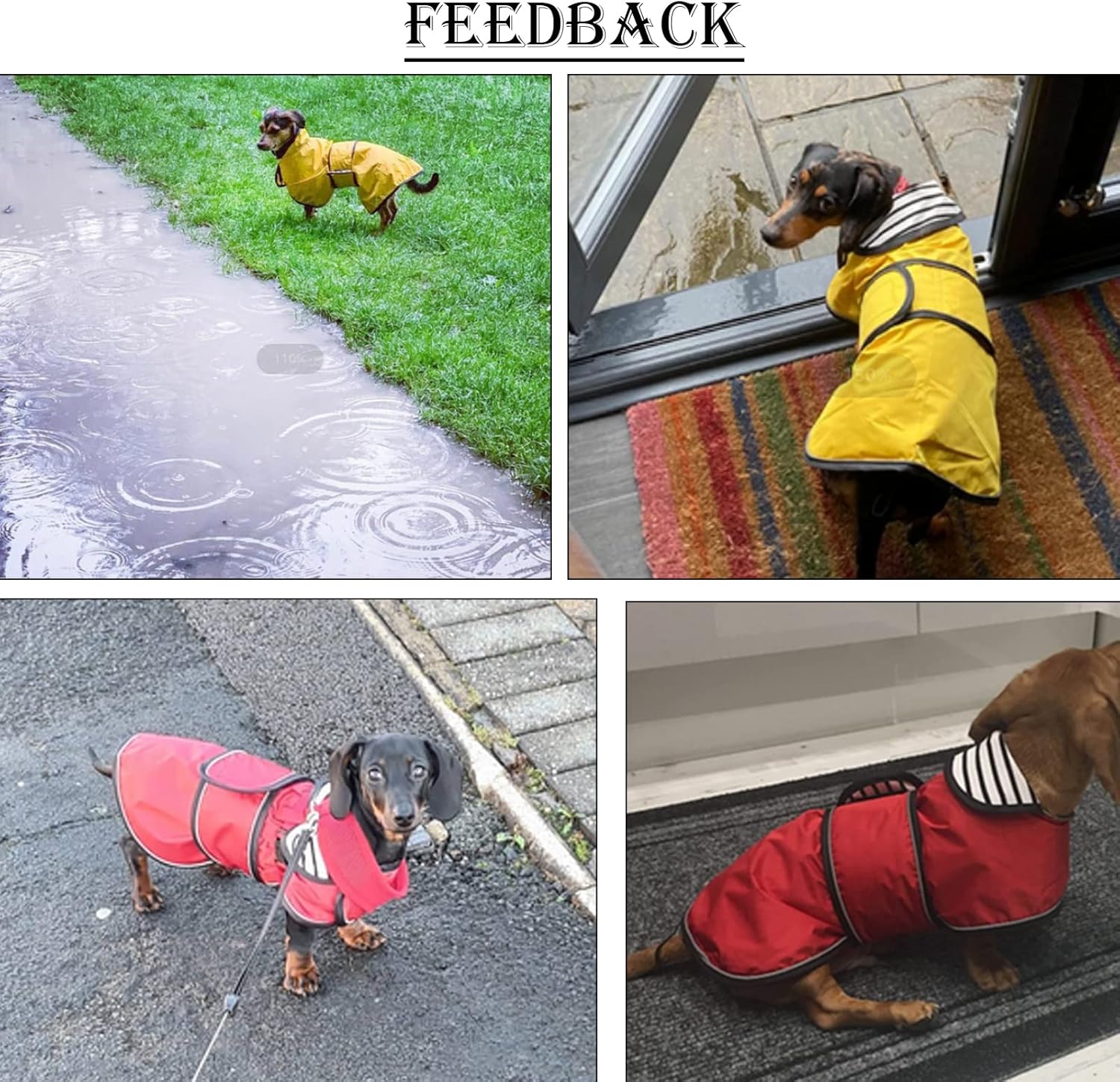 Thumbnail 5 de Morezi dachshund raincoat for long-back breeds (reflective stripe, waterproof) – Purple XS