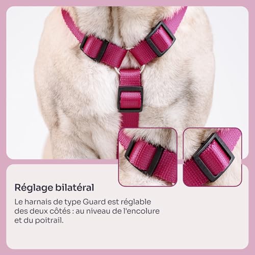 Detalle de Chaba Harnais Guard pour Petit Chien - 5 Points, Anti-Traction, Taille M, Bordeaux