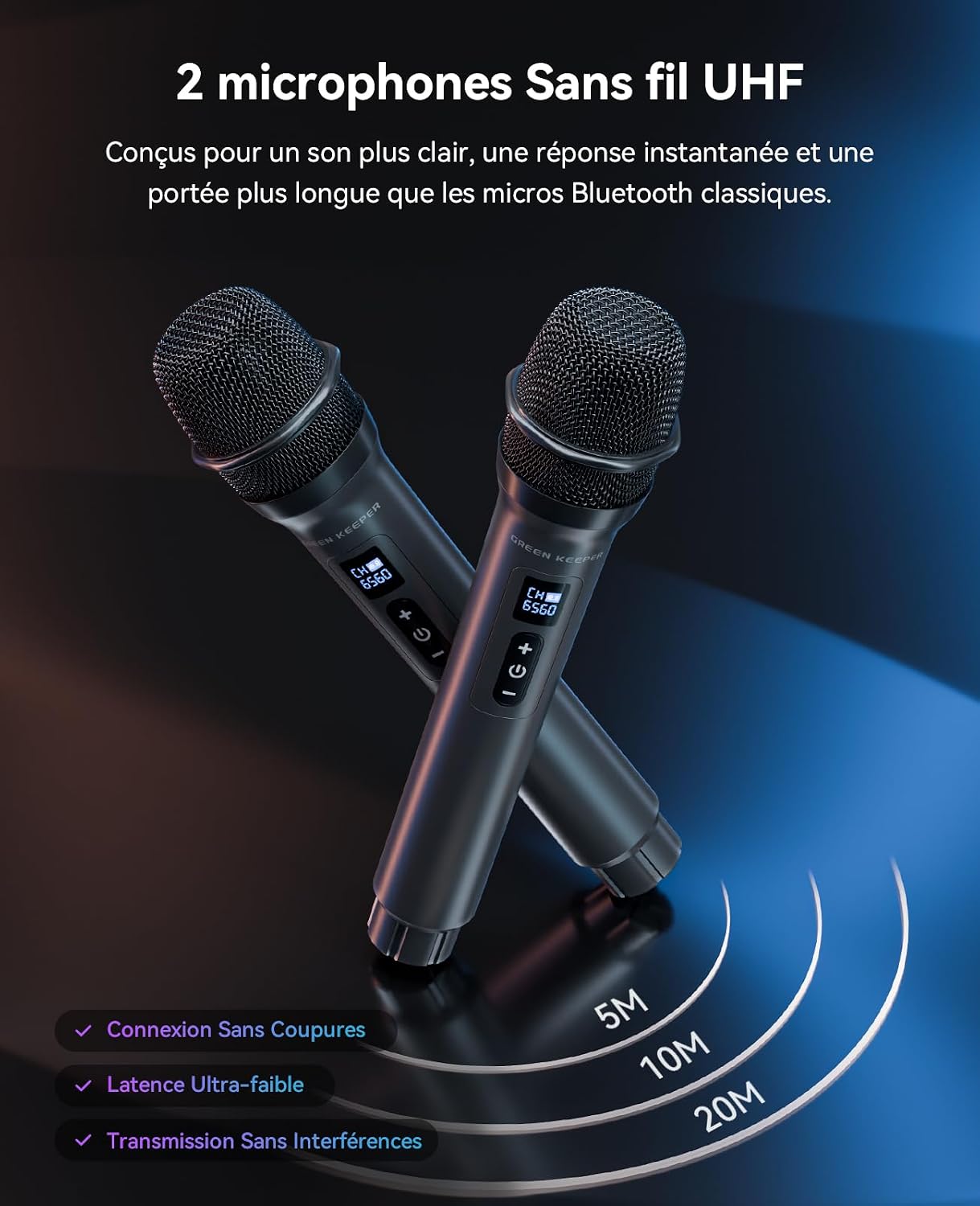 Detalle de GKD80 Machine de karaoké 600W 📢