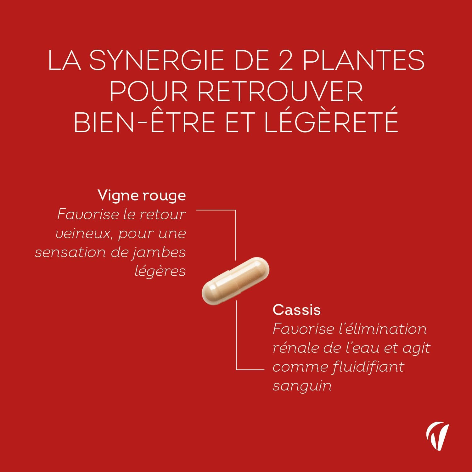 Thumbnail 3 de Circulation Sanguine Jambes Légères - Vigne Rouge & Cassis – 120 Gélules (Fabriqué en France) par Vitavea
