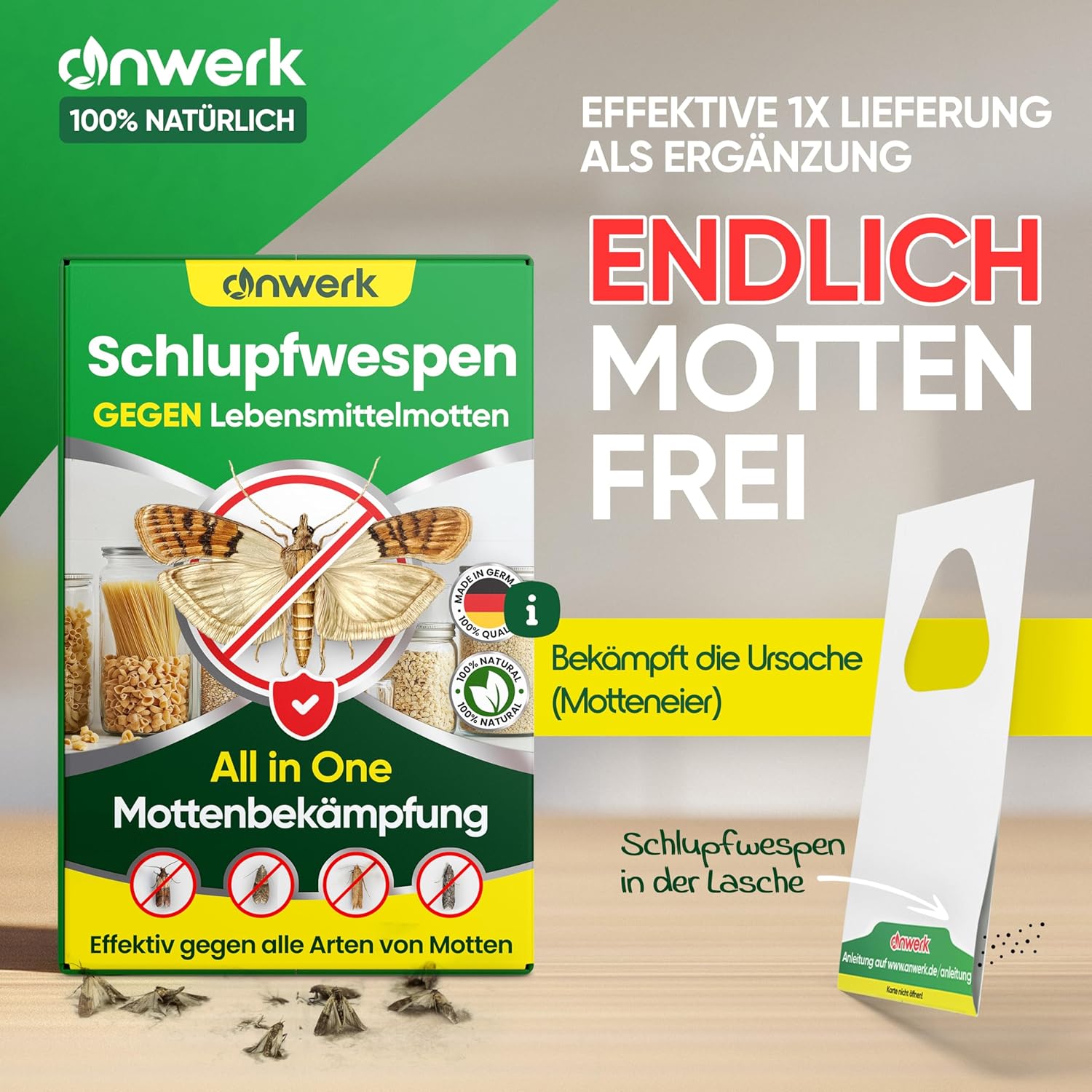 Detalle de anwerk Schlupfwespen gegen Lebensmittelmotten – 4 Karten à 1 Lieferung