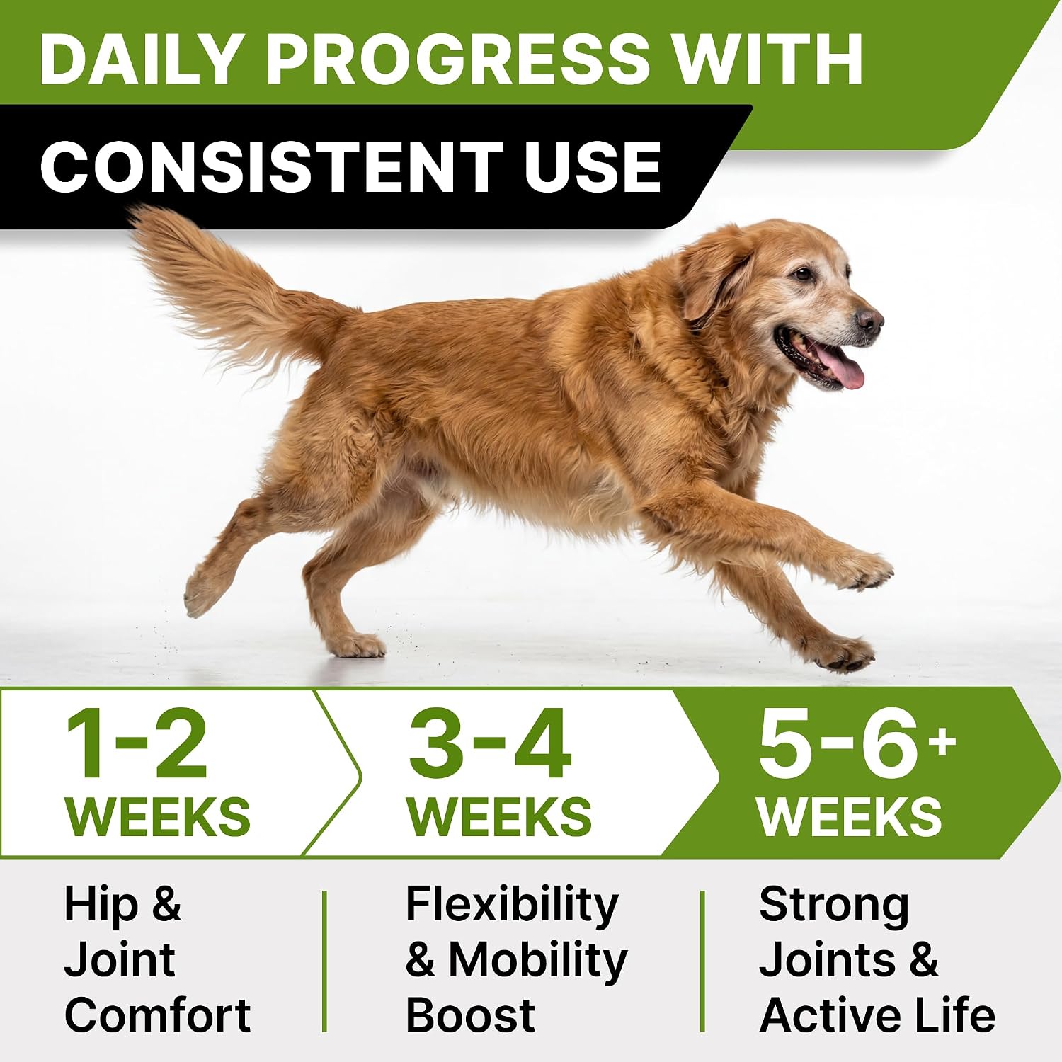 Detalle 1 de STRELLALAB Dog Joint Supplement, 120 Chews