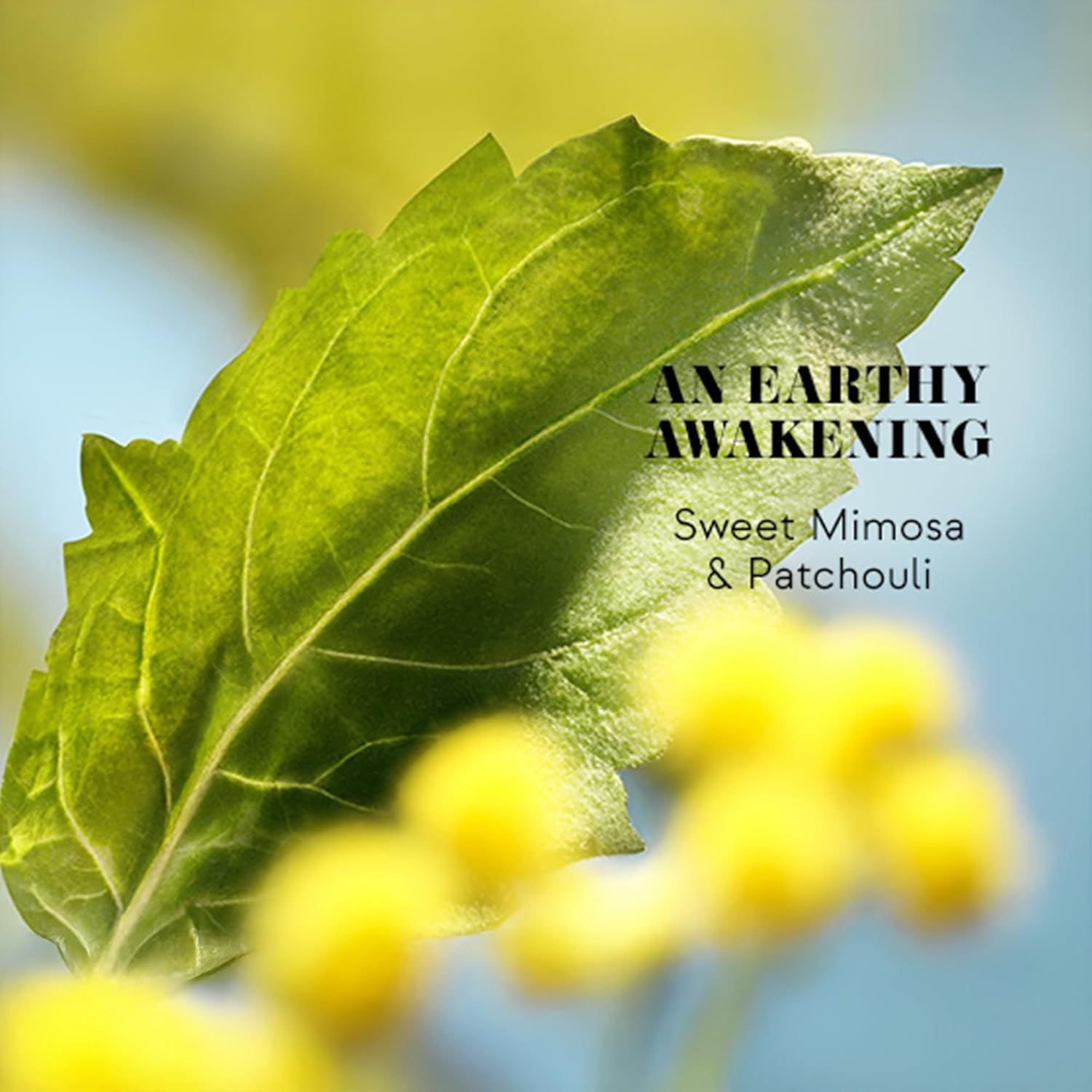 Thumbnail 4 de Cacharel Eden Eau de Parfum 50ml