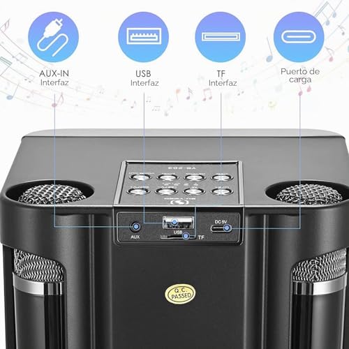 Detalle 1 de Karaoke 2 micrófonos inalámbricos con altavoz profesional de MUMUWIND