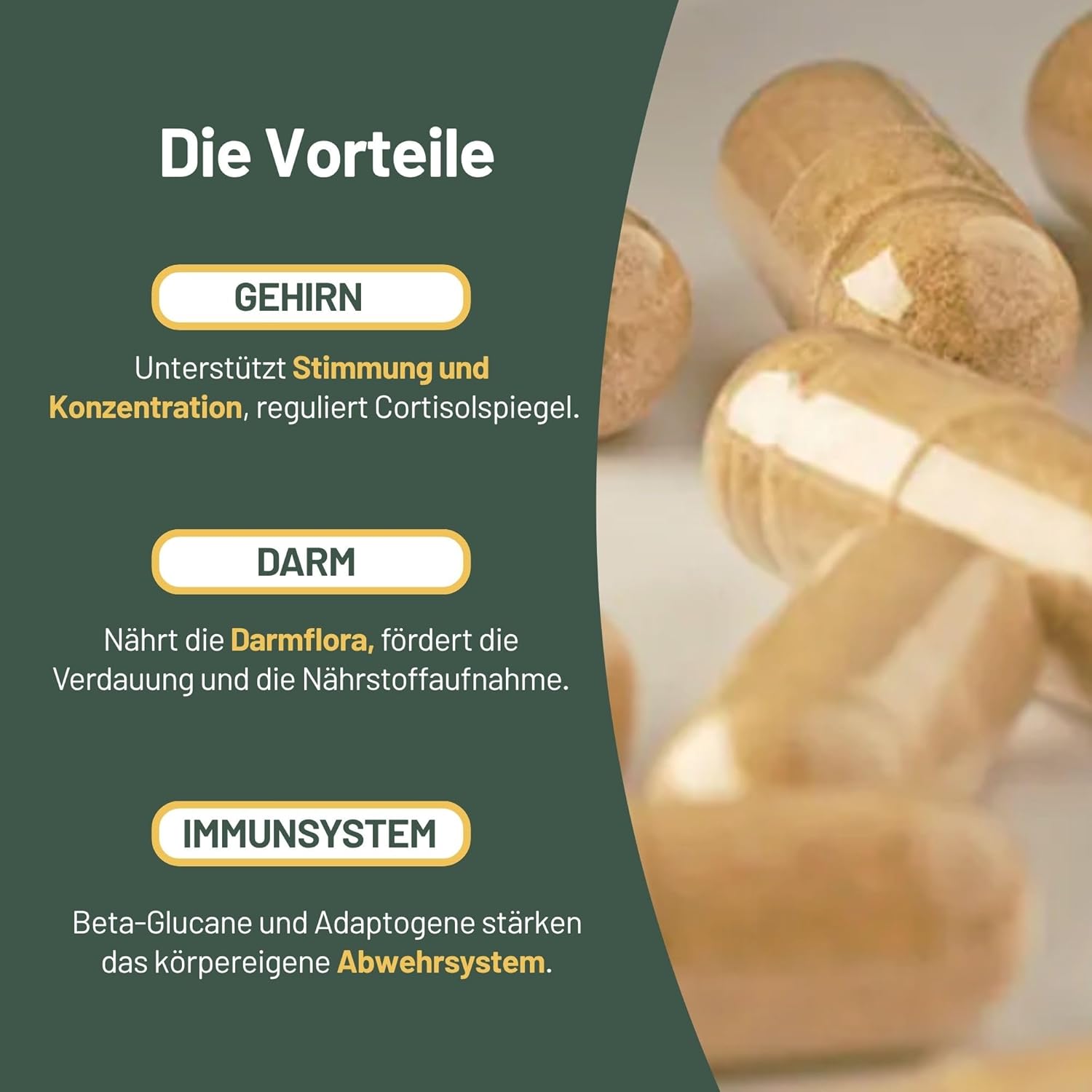 Thumbnail 5 de Vegan Vitality Pilz Komplex 120 Kapseln
