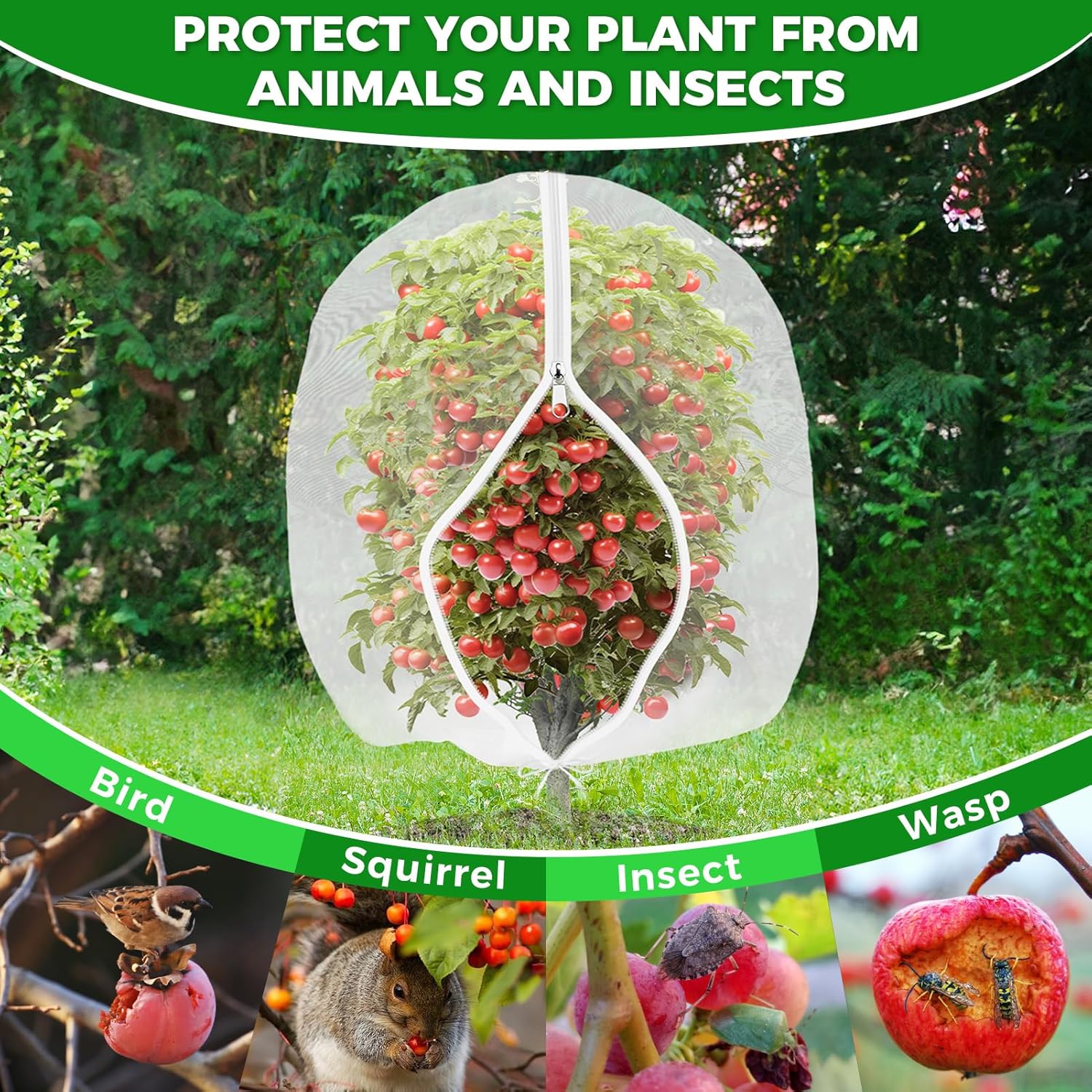 Thumbnail 3 de Fruit Trees netting bird protection 183x215cm (6x7ft) fruit protection bags