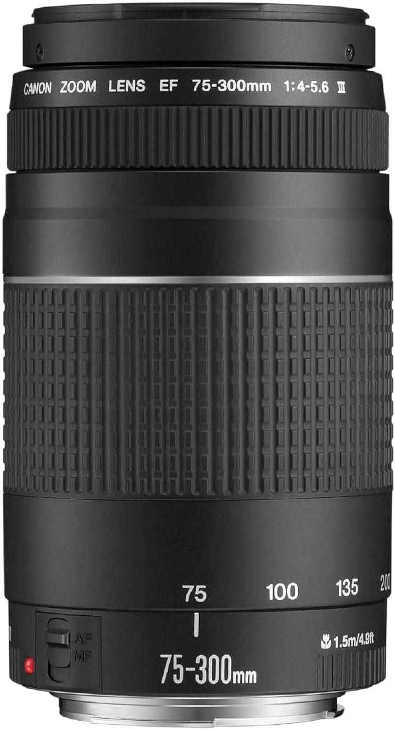 Thumbnail 3 de Canon EF 75-300mm f/4.0-5.6 III lens review: value-for-money telephoto option