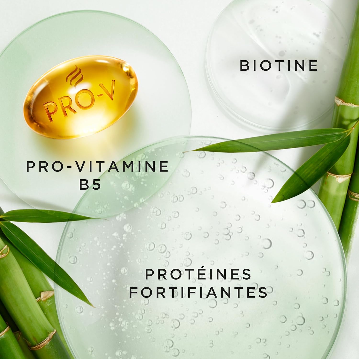 Thumbnail 4 de Pantene Grow Strong Shampoing biotine 1000 ml