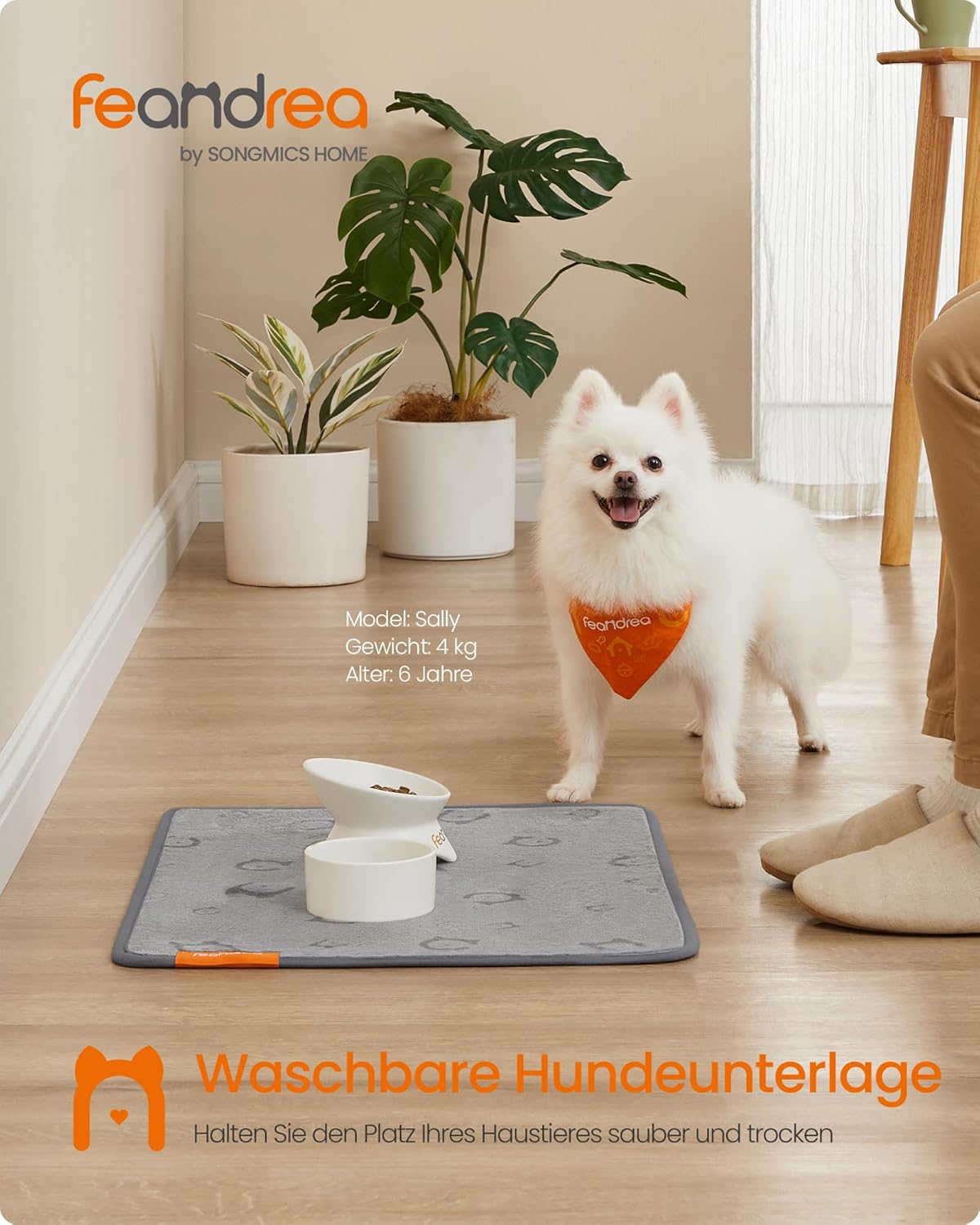 Thumbnail 1 de Feandrea Hundedecke 2er Set 61 x 46 cm