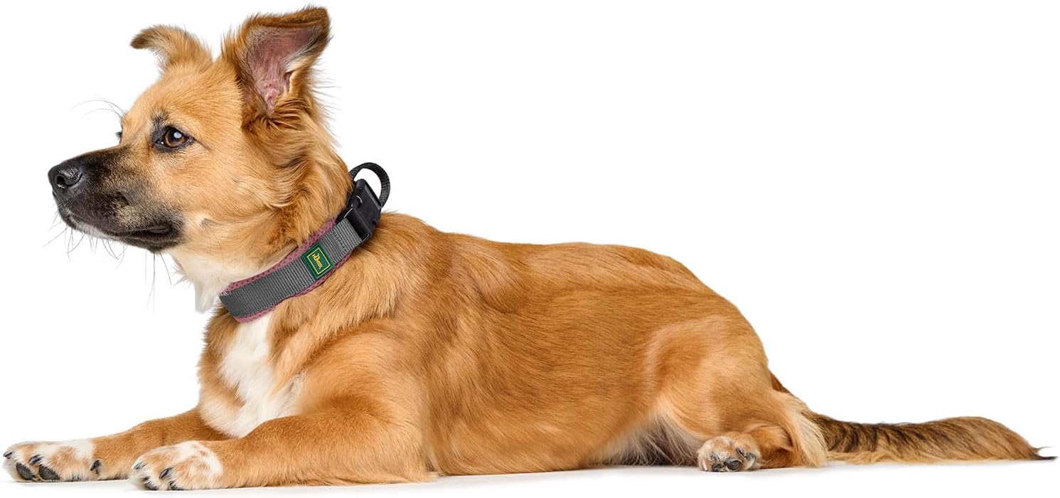 Thumbnail 3 de HUNTER Halsband Maldon in Rosa, atmungsaktives Mesh, Größe S