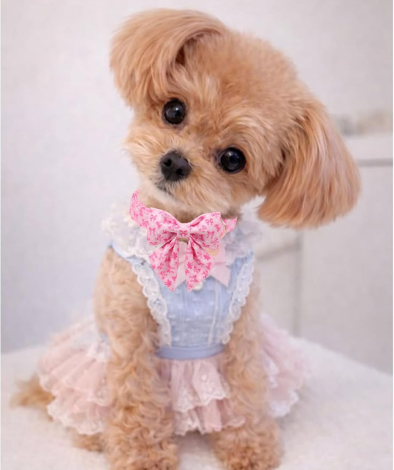 Detalle 1 de UP URARA PUP Cotton Dog Collar