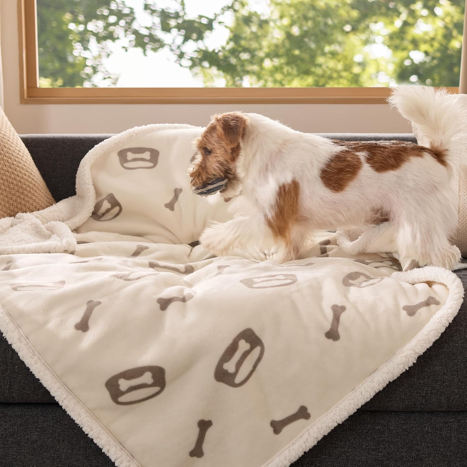Thumbnail 6 de BEDSURE Hundedecke 102×76 cm