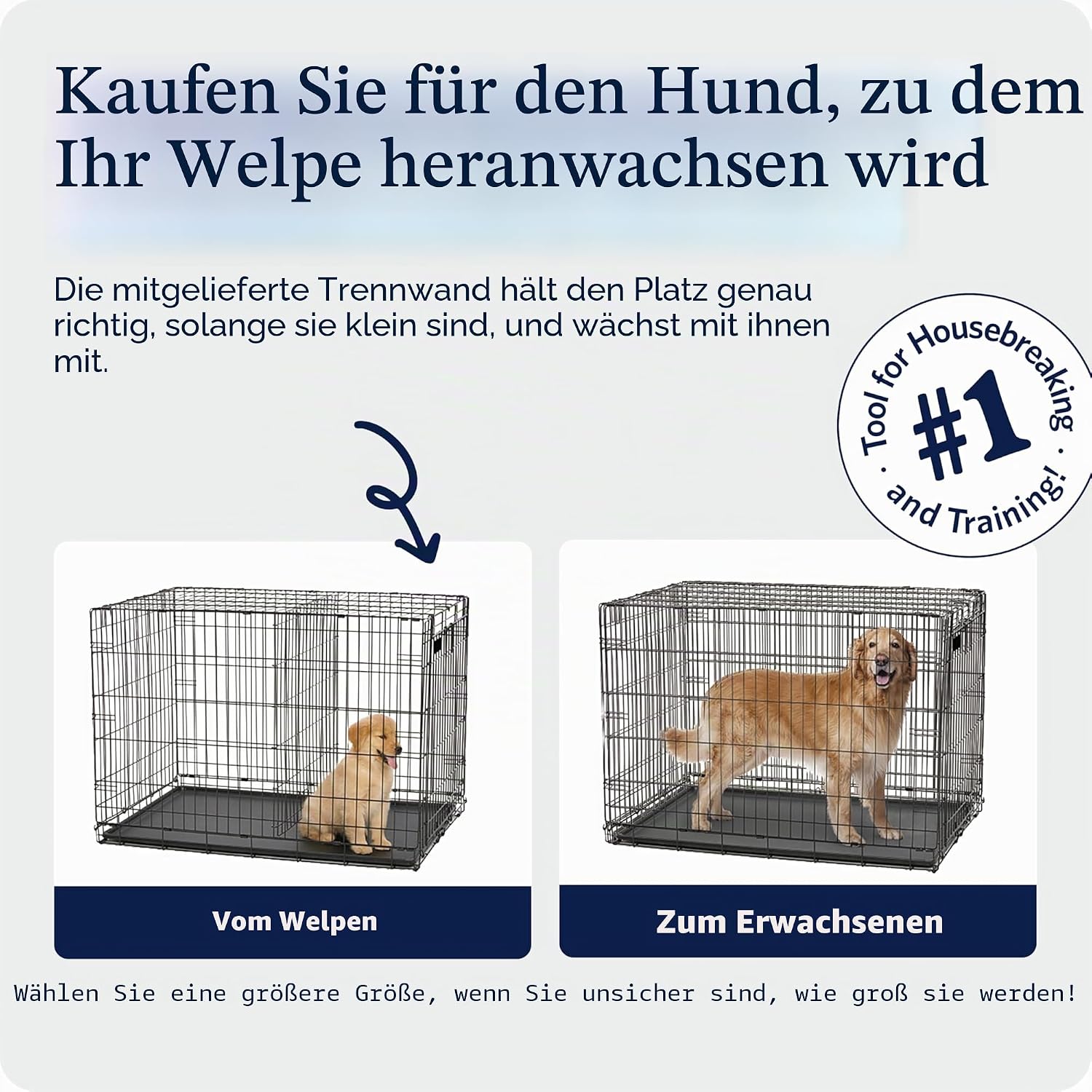 Detalle de MidWest Homes for Pets iCrate Hundebox – klappbar, 1 Tür, Trennwand, robuste Metallkonstruktion