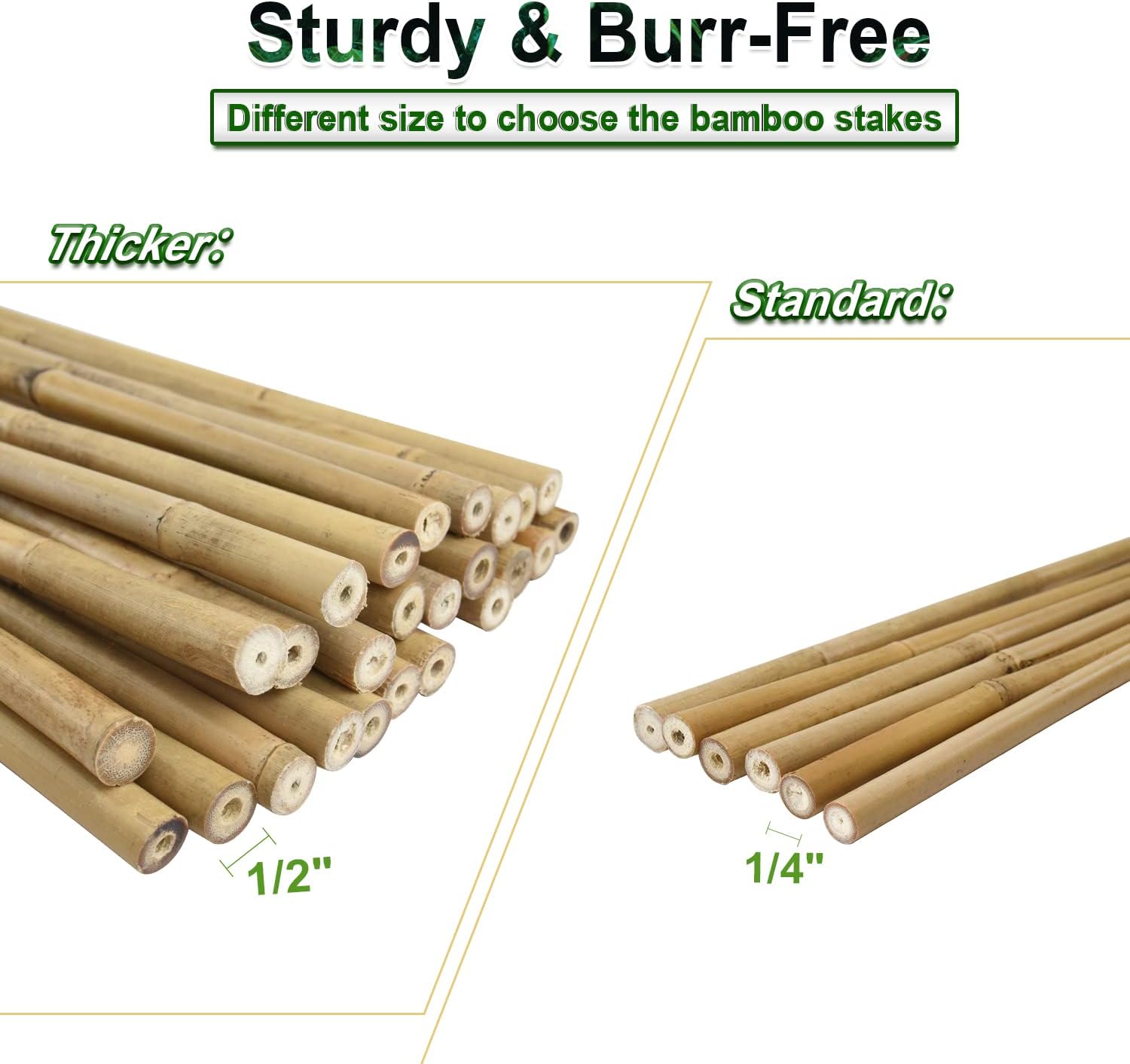 Detalle 1 de Jollybower BambooStake-CA Bamboo Garden Stakes, 25-Pack, 0.47–0.55-Inch Diameter