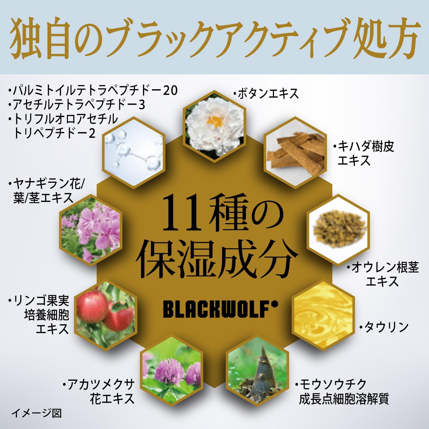 Detalle 1 de BLACKWOLF ボリュームアップ ブラックアクティブ コンディショナー詰替 350mL