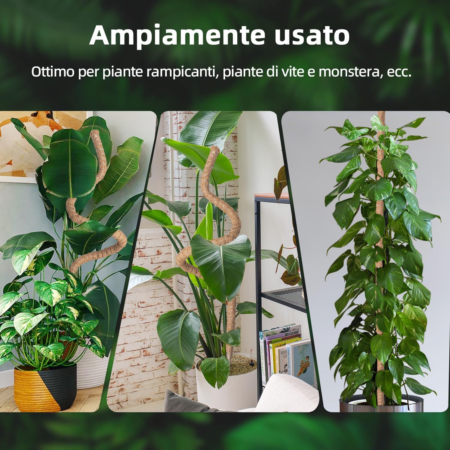 Thumbnail 6 de Wigearss bastone di muschio/palo di fibra di cocco da 120 cm per piante rampicanti