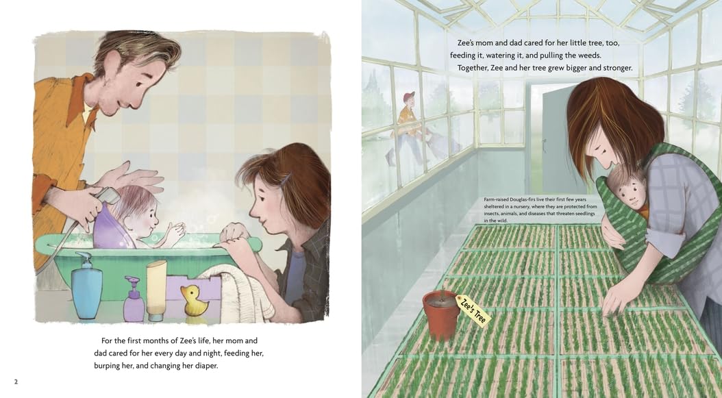 Detalle de Zee Grows a Tree Hardcover Book by Elizabeth Rusch, Illustrated by Will Hillenbrand