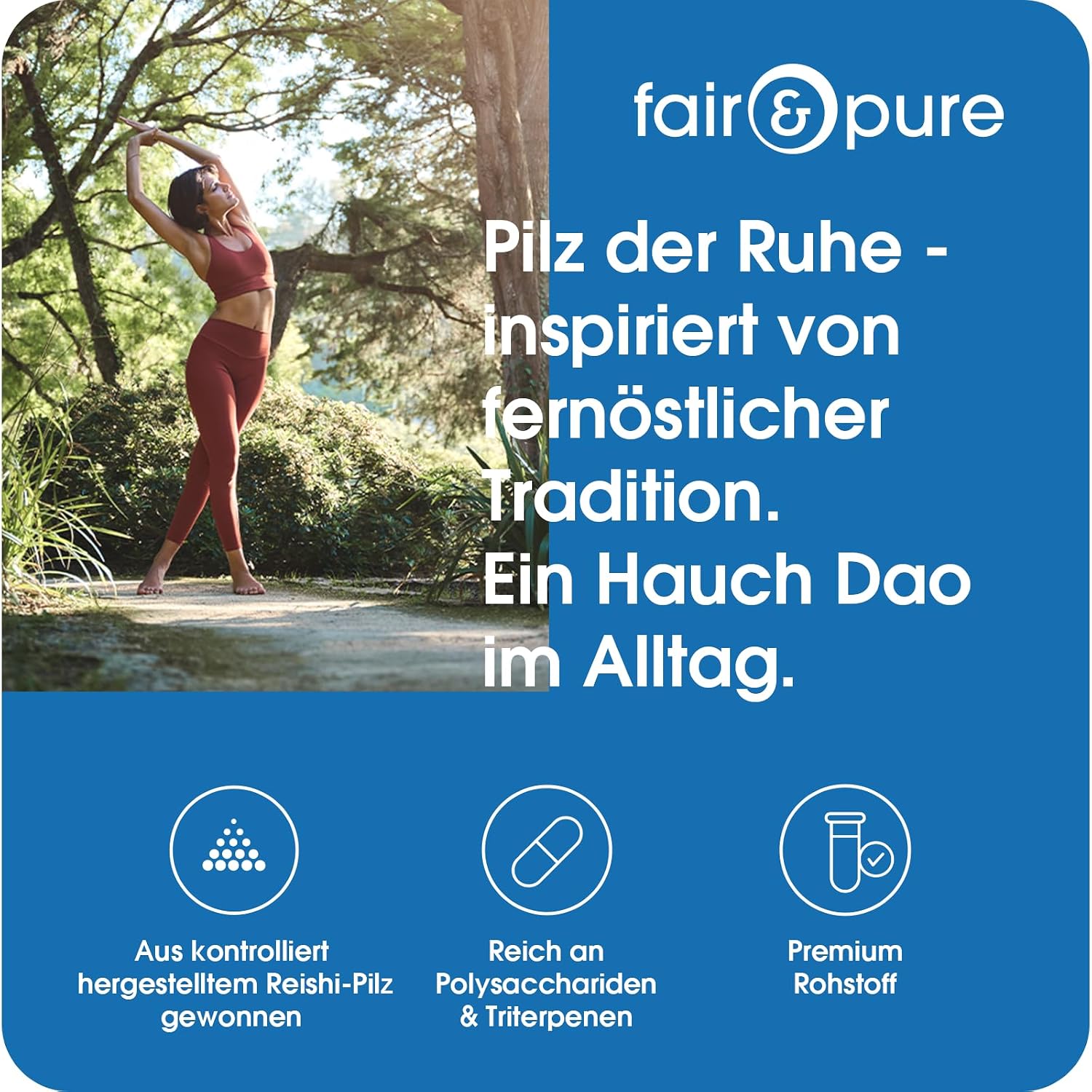 Thumbnail 1 de Fair & Pure Reishi 1950mg pro Tagesdosis – veganes Ganoderma-Lucidum, 120 Kapseln, in Deutschland hergestellt