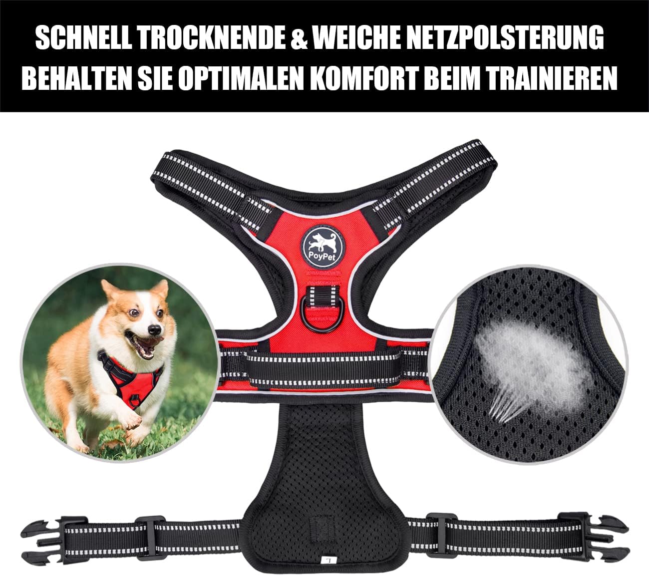 Thumbnail 6 de PoyPet No Pull Hundegeschirr L