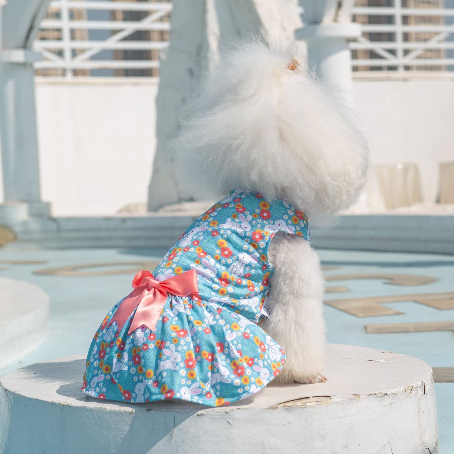 Detalle 2 de CuteBone Dog Dress, XX-Small