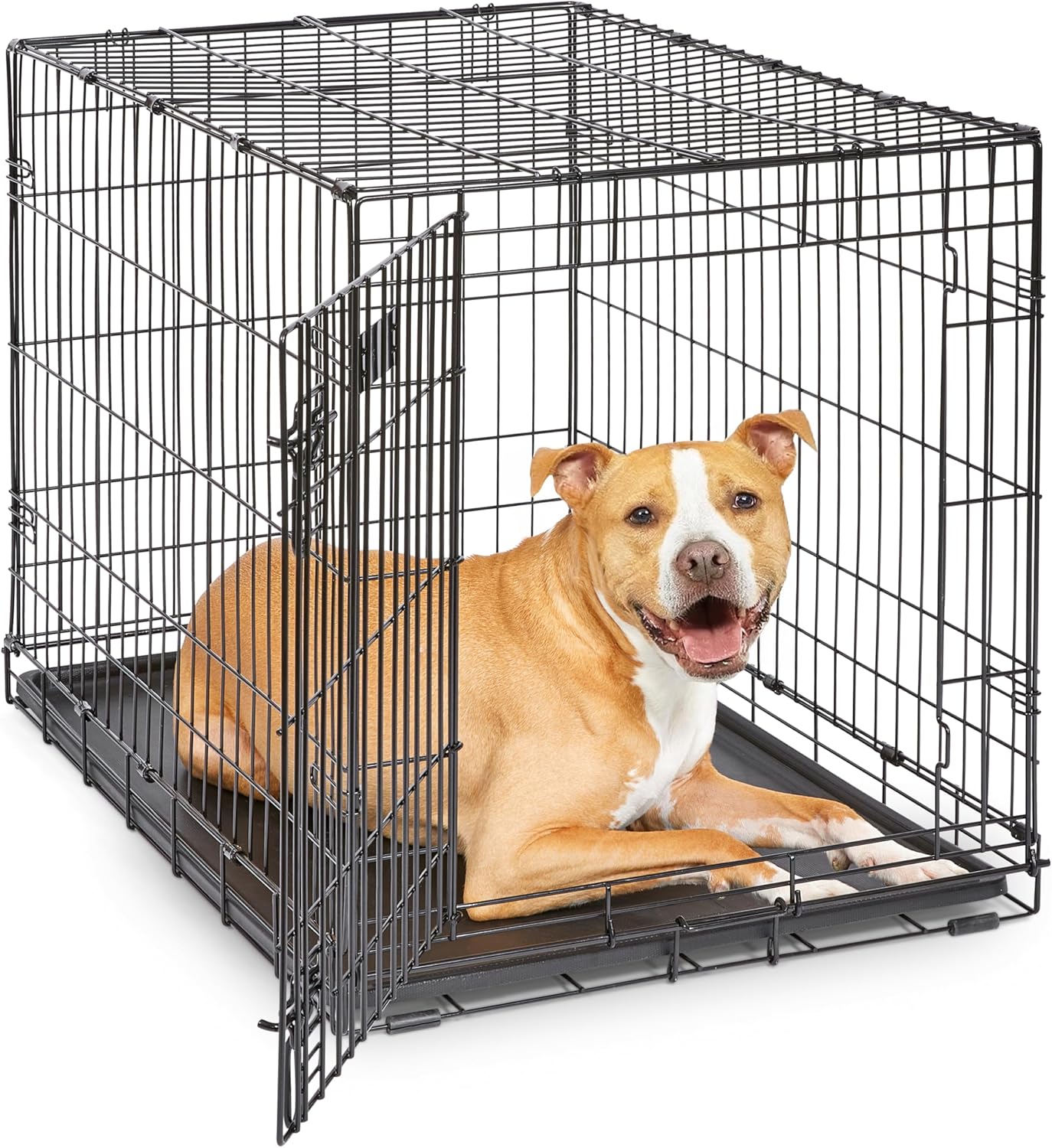 Detalle de MidWest iCrate 36-Inch for Medium-Large Breeds (41-70 lbs): A Practical, Divider-Equipped Training Crate