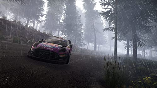 Detalle 1 de Nacon WRC Generations PS4 Versión Española