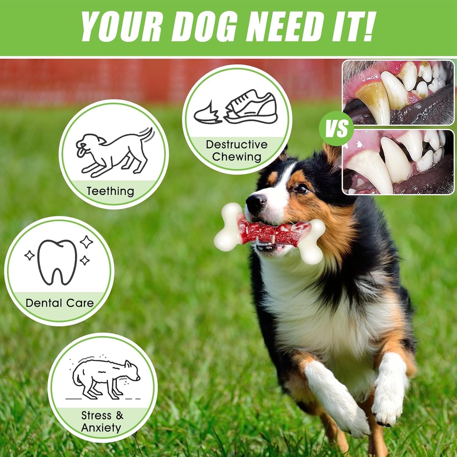 Detalle 1 de 2TRUL Indestructible Dog Bone 1 pack