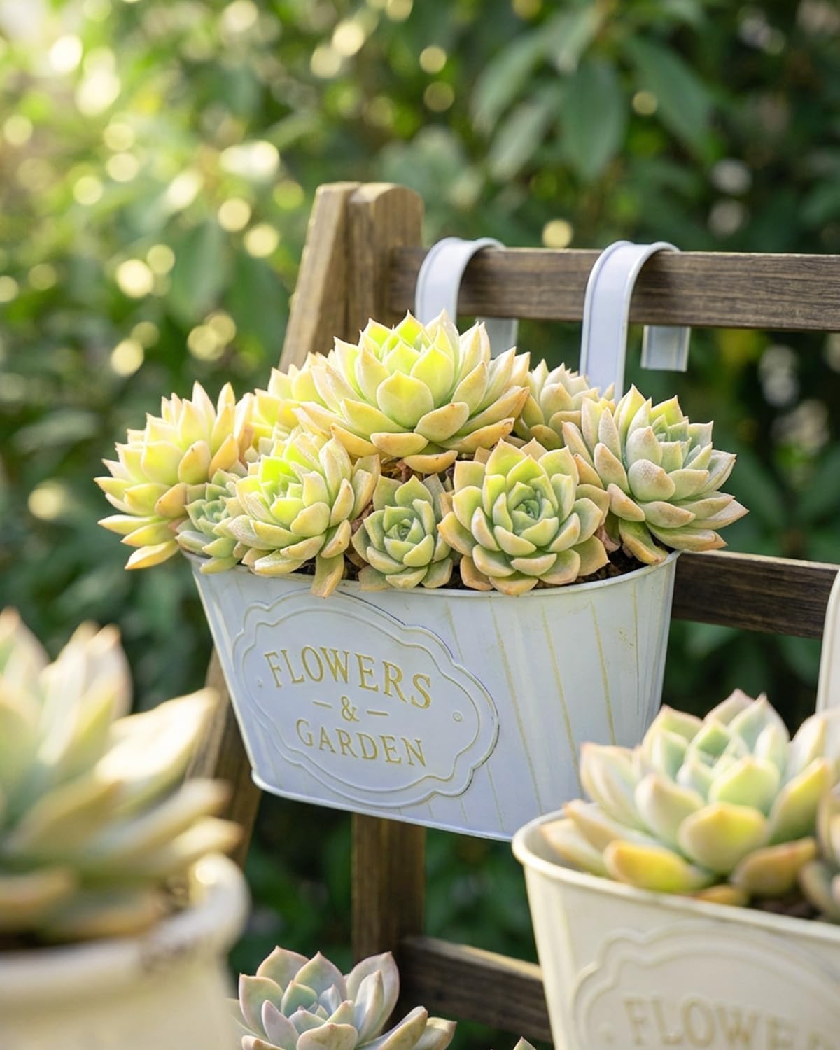 Detalle de 4 Pack Retro Style Galvanised Iron Hanging Flower Pots with Detachable Hooks (Milk Blue & Milk Yellow)