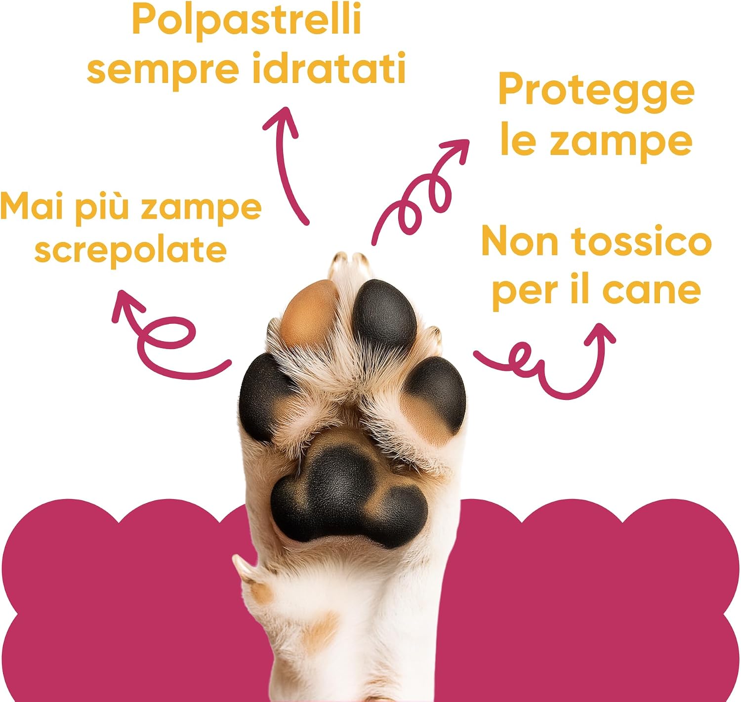 Thumbnail 2 de Crema Polpastrelli Cane per Inverno e Neve 70 ml – Oli di Moringa, Mandorla e Burro di Karité | Wellwoof