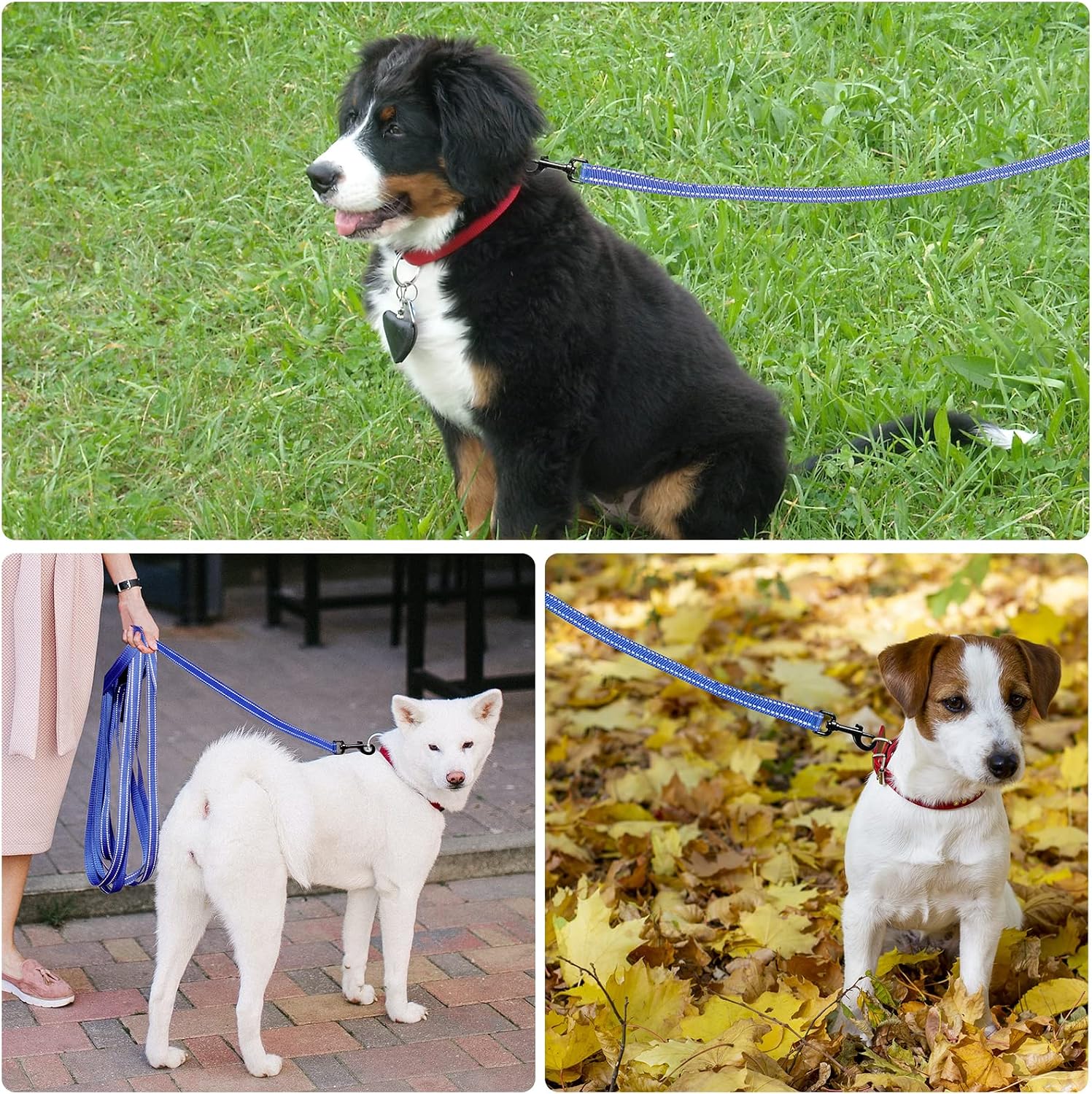 Detalle 2 de Demigreat Schleppleine für Hunde mit reflektierenden Streifen, gepolstertem Griff und Handschlaufe (3–20 m)