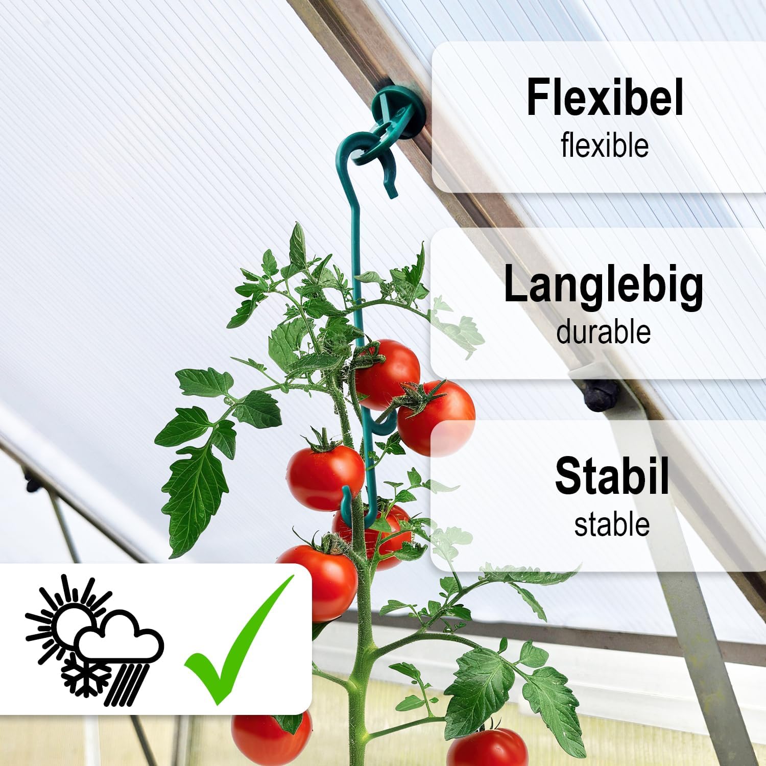 Thumbnail 1 de COM-FOUR® 120 morsetti per piante di pomodoro con ganci verdi