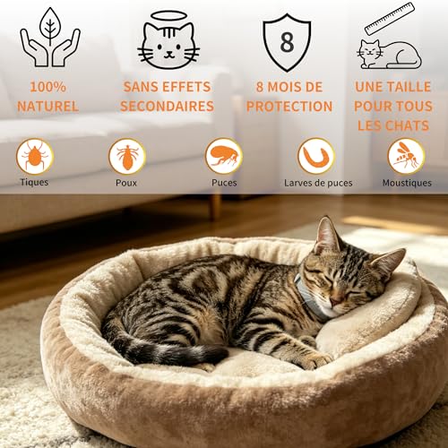 Detalle de Meloive Collier Antipuces et Anti-tiques pour Chats – 3 Pièces