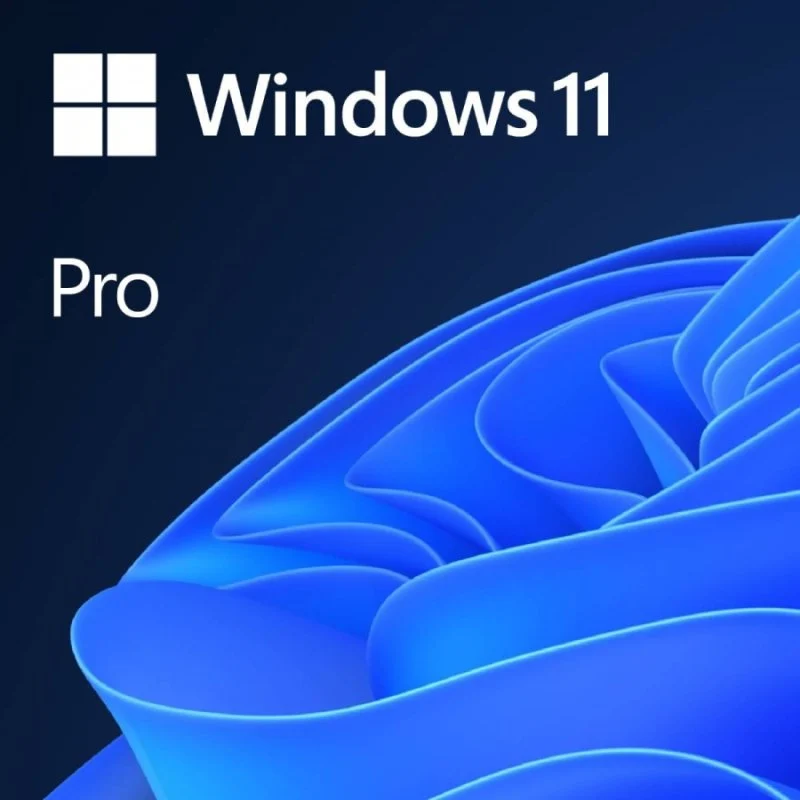 USB Instalador Windows 11 Pro licencia OEM 1 unidad