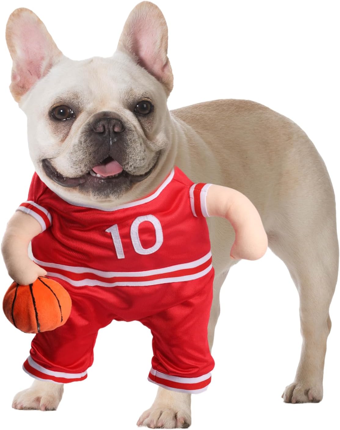 Thumbnail 6 de DELIFUR Dog Costume, X-Small
