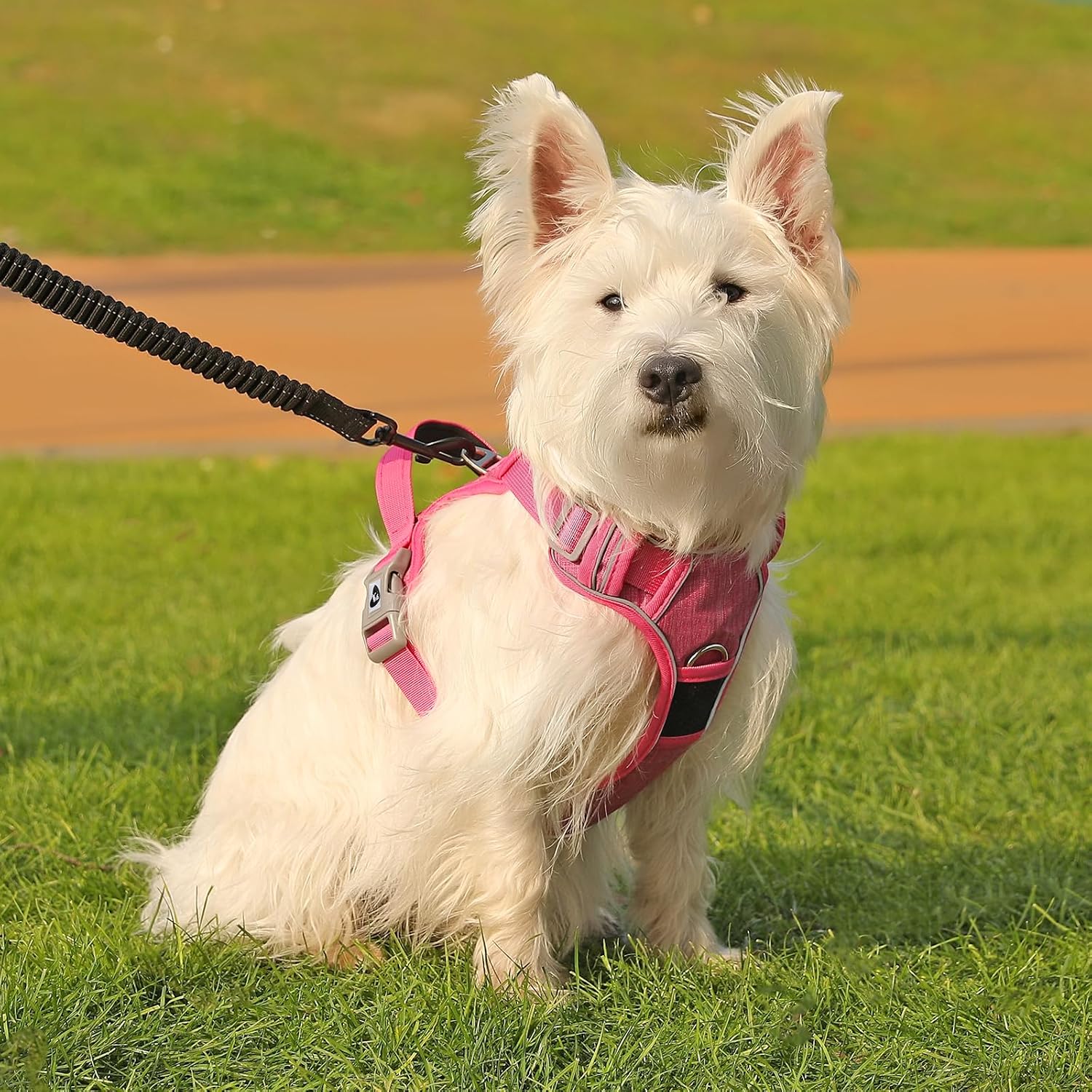 Thumbnail 6 de Belababy Medium Dog Harness (Anti-Pull) with Soft Padded Handle and Reflective Strips, Rose M
