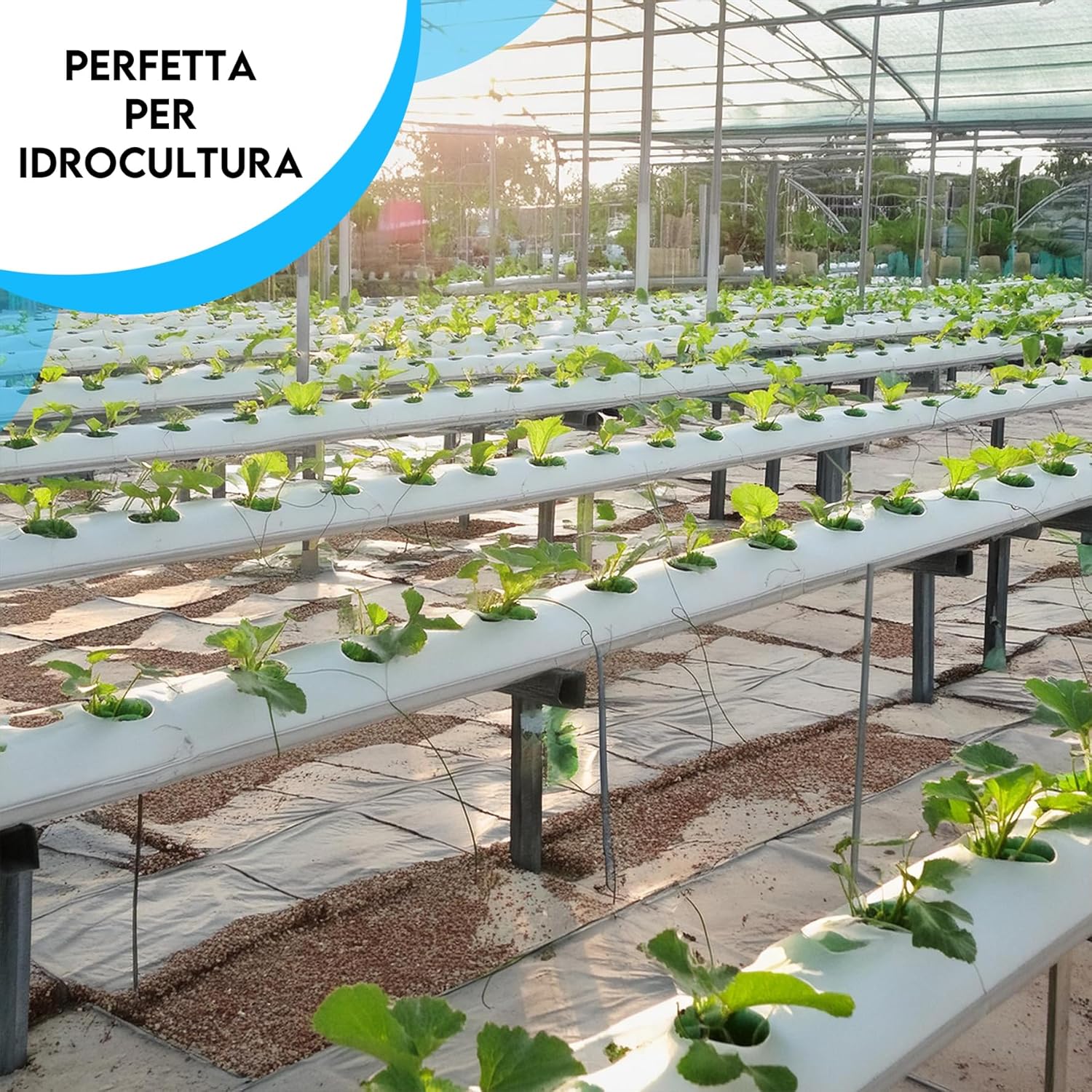 Thumbnail 4 de ZOMA Fibra di cocco per piante di qualità superiore – Terriccio universale 13 Kg per coltivazione idroponica