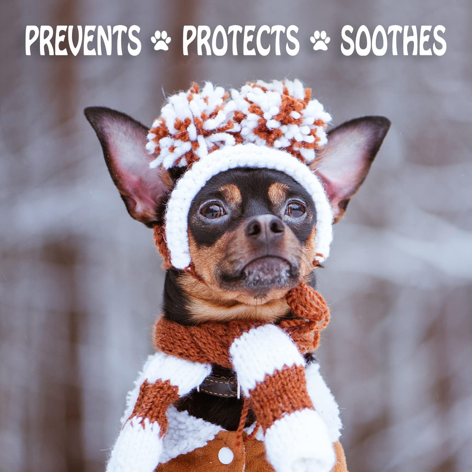 Detalle de Musher's Secret Blue Paw Wax — All-Natural Dog Paw Protection