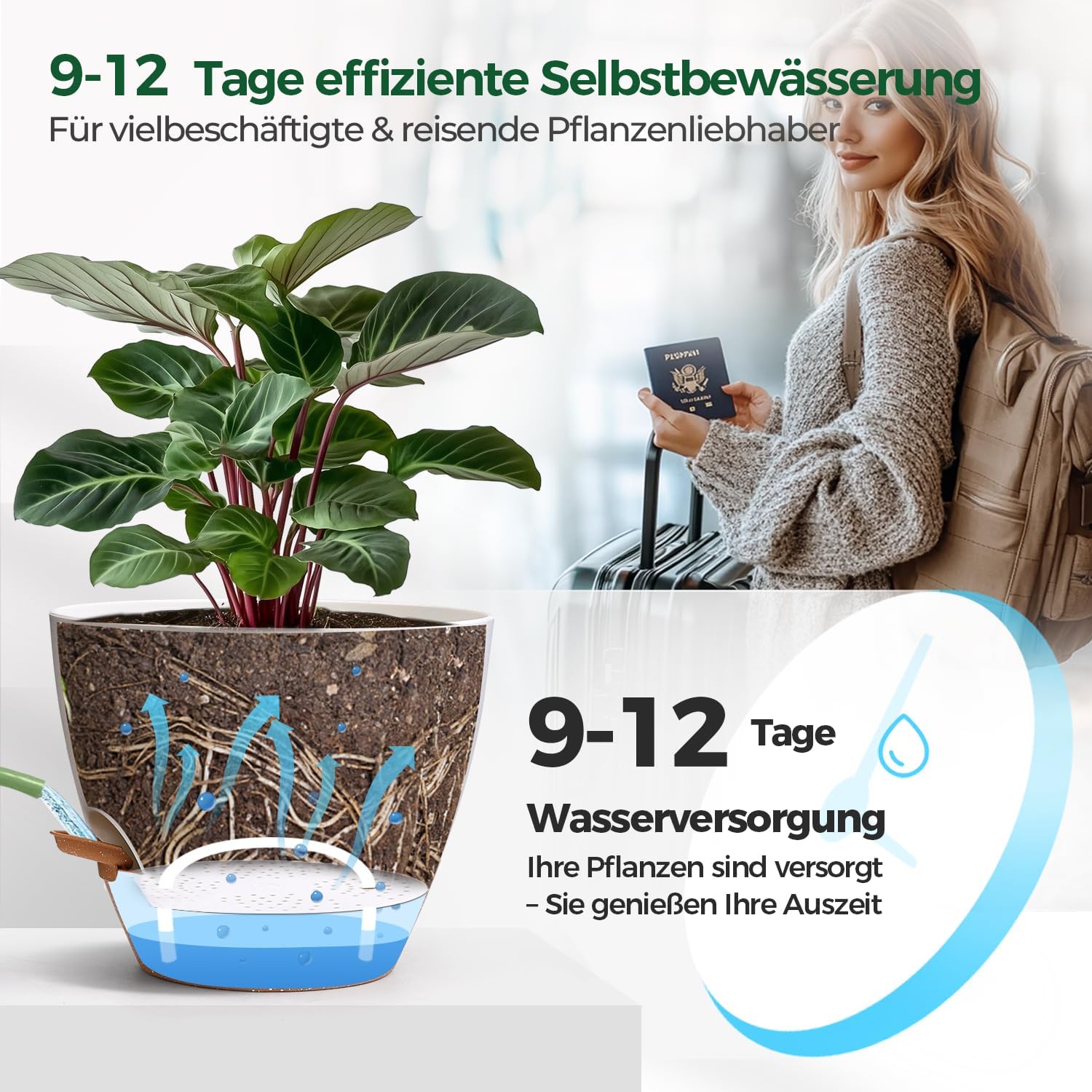 Detalle 1 de T4U 25 cm Selbstbewässernder Blumentopf im Set
