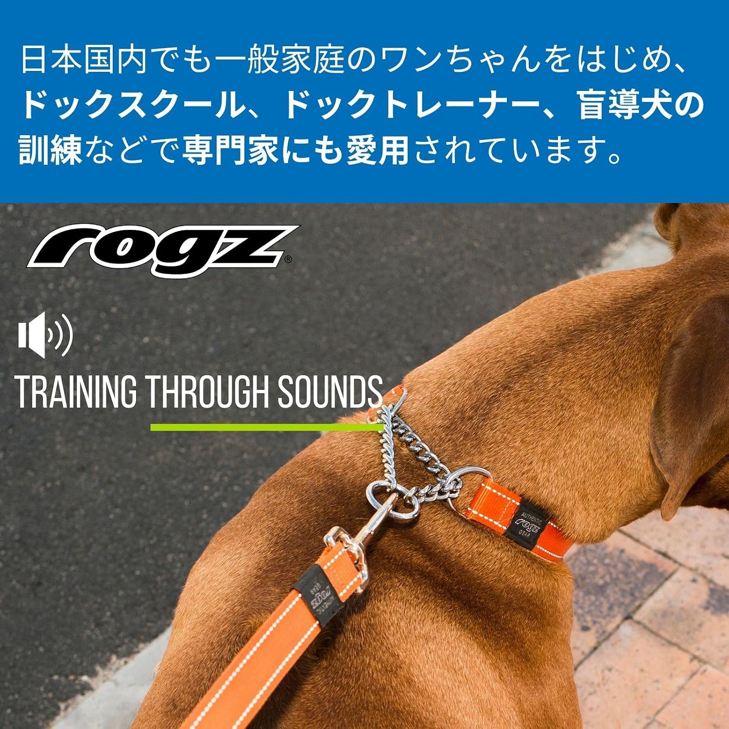 Detalle 1 de ROGZ UTILITY XL 大型犬用ハーフチョーク首輪 ナイロン製・反射ステッチ付き ブラック