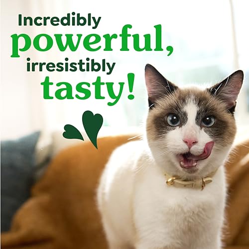 Thumbnail 6 de Greenies Feline Natural Dental Cat Treats, Roasted Chicken Flavor, 9.75 oz