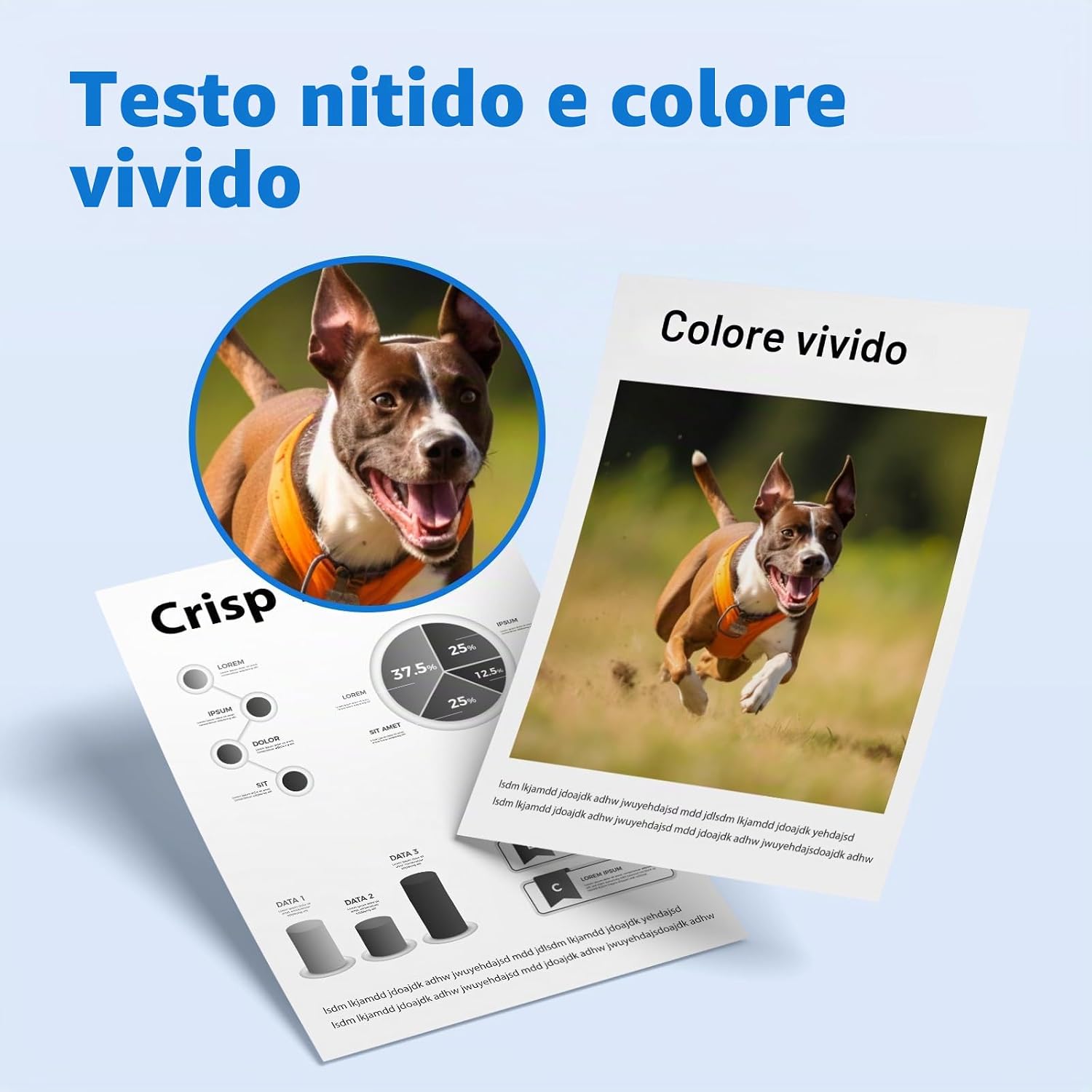 Thumbnail 5 de MYCARTRIDGE TN2420 Cartucce toner 3000 pagine 🖨