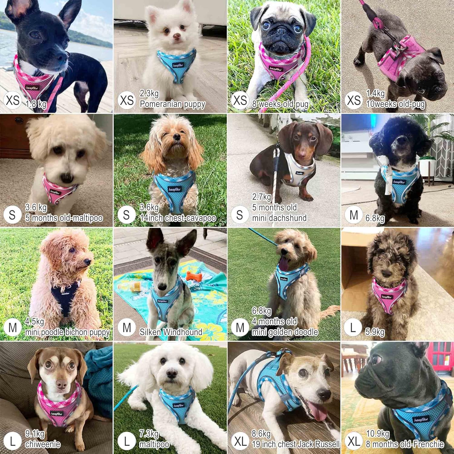 Thumbnail 5 de haapaw Hundegeschirr & Leine-Set (Step-in, kein Ziehen) mit reflektierenden 360°-Streifen